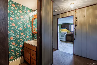 1 Bear Street, Selden, NY 11784 - Photo 10