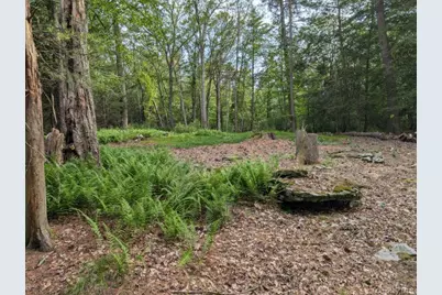 Eldred-Yulan Road, Call Listing Agent, NY 12792 - Photo 14