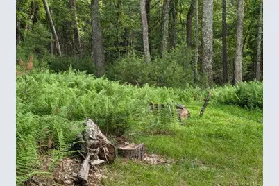 Eldred-Yulan Road, Call Listing Agent, NY 12792 - Photo 4