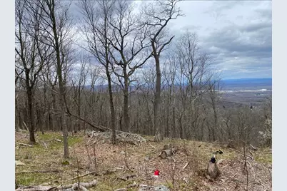 Woodmont Road, Hopewell Junction, NY 12533 - Photo 1