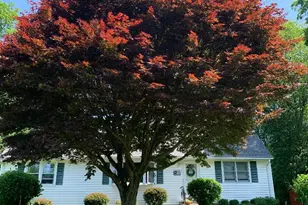 107 Whittier Dr, Thornwood, NY 10594 - Photo 30