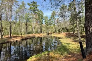 20 Reber Rd, Eldred, NY 12732 - Photo 2