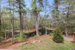 20 Reber Rd, Eldred, NY 12732 - Photo 18