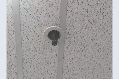 5017 Avenue D, Brooklyn, NY 11203 - Photo 22