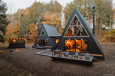 521 Perry Road, Swan Lake, NY 12783 - Photo 2