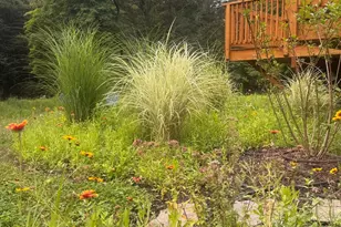 2565 Route 212, Woodstock, NY 12498 - Photo 44