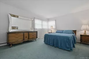 117 Terrace Ave, Floral Park, NY 11001 - Photo 16