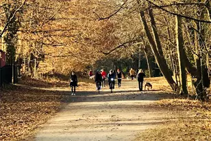 235 S Buckhout St, Irvington, NY 10533 - Photo 14