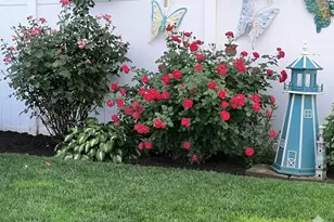 14 High St, Farmingdale, NY 11735 - Photo 44