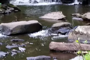 47 E Catskill Trail, Bethel, NY 12720 - Photo 30