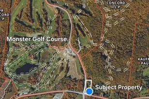 315 Thompson Rd, Thompsonville, NY 12701 - Photo 2