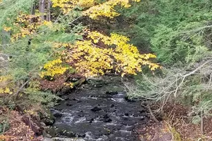 221 Starlight Rd, Monticello, NY 12701 - Photo 30