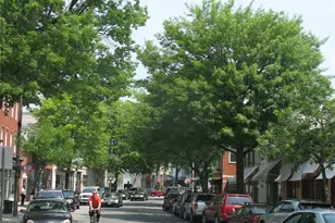 21 Thorne Pl, Rye, NY 10580 - Photo 8