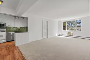 119 E Hartsdale Ave, Hartsdale, NY 10530 - Photo 6