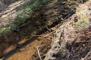 21 Crawford Rd, Eldred, NY 12528 - Photo 48