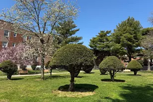 138-29 Jewel Ave, Flushing, NY 11367 - Photo 8