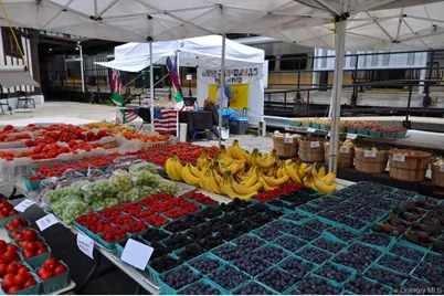 100 E Hartsdale Avenue #5DE, Hartsdale, NY 10530 - Photo 50