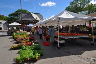 100 E Hartsdale Ave, Hartsdale, NY 10530 - Photo 48