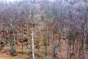 122 Twinshaven Rd, Napanoch, NY 12458 - Photo 40