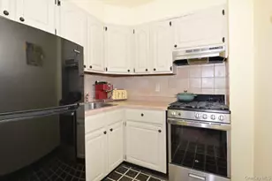 6 Birchwood Ct, Mineola, NY 11501 - Photo 12