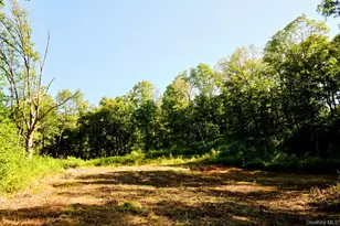 60 Stone Wall Path, Red Hook, NY 12571 - Photo 14