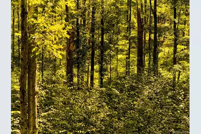 60 Stone Wall Path, Red Hook, NY 12571 - Photo 16