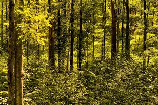 60 Stone Wall Path, Red Hook, NY 12571 - Photo 16