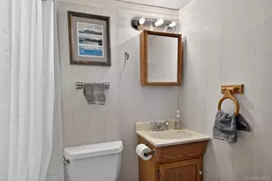 63 Ryerson Rd, New Hampton, NY 10958 - Photo 32