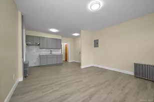 438 E 98th St, Brooklyn, NY 11212 - Photo 4