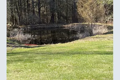 10 W Simmon, Callicoon, NY 12736 - Photo 4