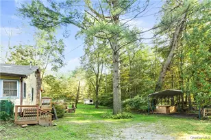 4 1st St, Godeffroy, NY 12729 - Photo 4