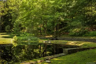 447 Butts Hollow Rd, Dover Plains, NY 12522 - Photo 12