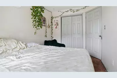 253 Cornelia Street, Brooklyn, NY 11221 - Photo 28