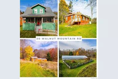 30 Walnut Mountain Road, Liberty, NY 12754 - Photo 1