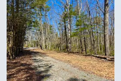 42 Devlin Road, Highland Lake, NY 12743 - Photo 2