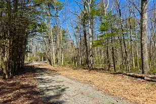 42 Devlin Rd, Highland Lake, NY 12743 - Photo 2