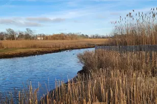 43 Abby Ln, Shirley, NY 11967 - Photo 26