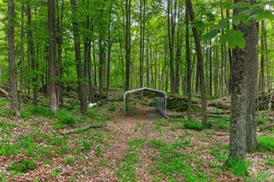 101 Tuytenbridge Rd, Lake Katrine, NY 12449 - Photo 46