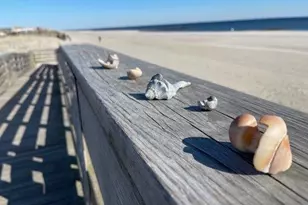 370 W Broadway, Long Beach, NY 11561 - Photo 32