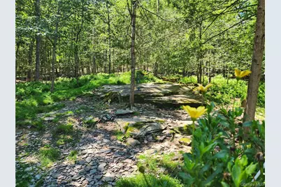 150 Hartwood Drive, Smallwood, NY 12778 - Photo 38