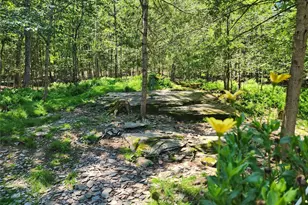 150 Hartwood Dr, Smallwood, NY 12778 - Photo 38
