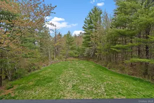 2 Mountain Valley Rd, Boiceville, NY 12412 - Photo 38