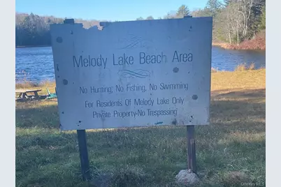 33 Melody Lake Drive, Monticello, NY 12701 - Photo 6