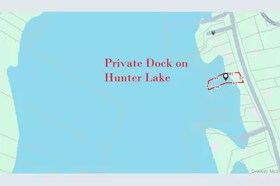 106 Park Drive, Parksville, NY 12768 - Photo 8