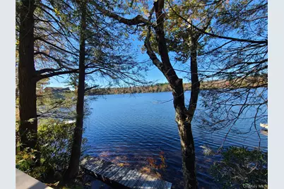 106 Park Drive, Parksville, NY 12768 - Photo 30