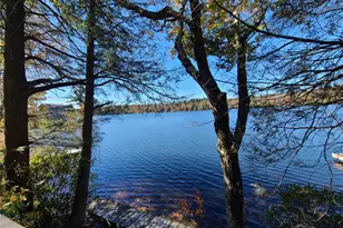 106 Park Dr, Parksville, NY 12768 - Photo 30