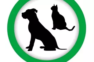 109-14 Ascan Ave, Forest Hills, NY 11375 - Photo 20