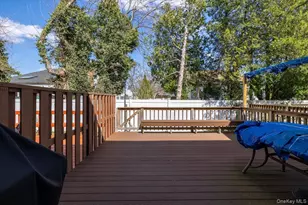 9 Eastern Dr, New Hyde Park, NY 11040 - Photo 18