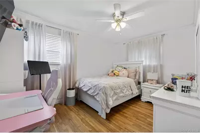 463 Louis Avenue, Floral Park, NY 11001 - Photo 14
