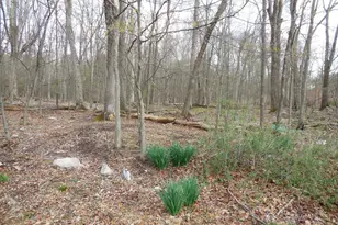 213 Lake Shore Dr, Pine Bush, NY 12566 - Photo 22